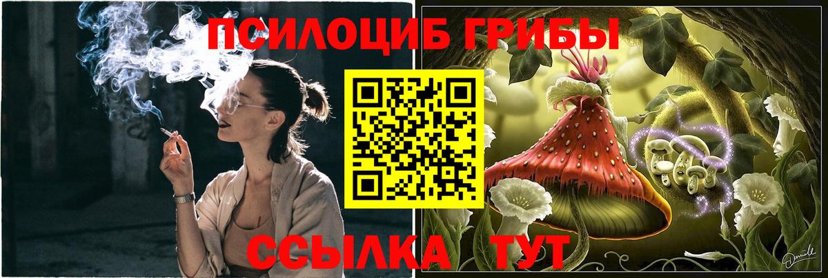 дарнет шоп  Галлюциногенные грибы Magic Shrooms  Псилоцибиновые грибы MAGIC MUSHROOMS  Вход с VPN  Балабаново 